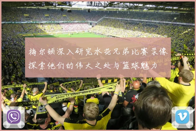 梅尔顿深入研究水花兄弟比赛录像探索他们的伟大之处与篮球魅力