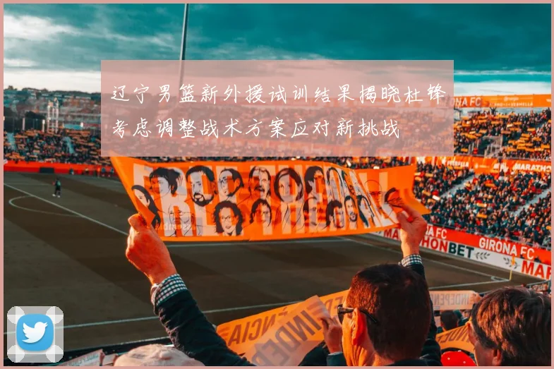 辽宁男篮新外援试训结果揭晓杜锋考虑调整战术方案应对新挑战