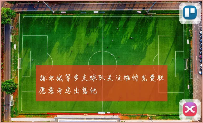 赫尔城等多支球队关注维特克曼联愿意考虑出售他